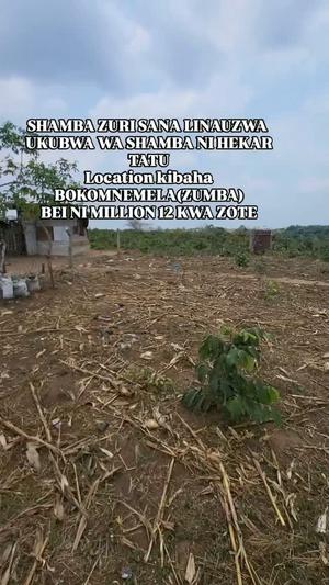 Kiwanja kinauzwa Kibaha Bokomnemela Zumba, Pwani acre 3