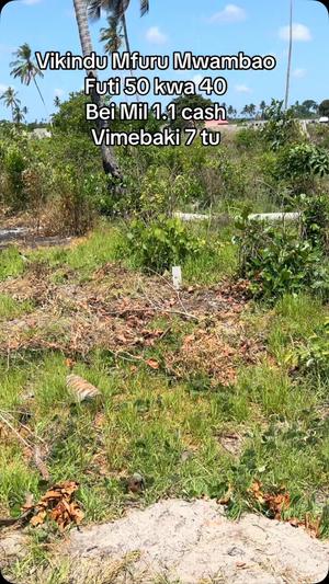 Viwanja vinauzwa Vikindu Vianzi Mfurumwambao, Pwani