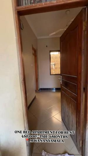 1 Bedroom House/Apartment for Rent in Mwananyamala, Dar Es Salaam