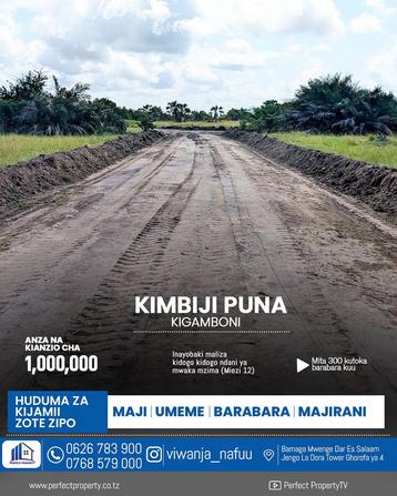Viwanja vinauzwa Kigamboni Kimbiji Puna, Dar Es Salaam Viwanja vinauzwa Kigamboni Kimbiji Puna, Dar Es Salaam