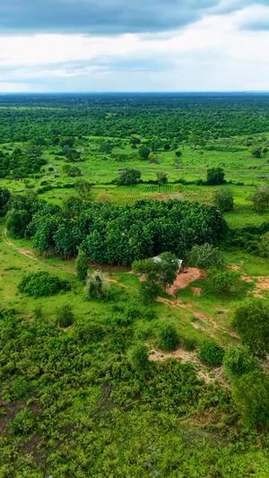 Farms for Sale in Kijiji Cha Kitomolo, Mlandizi, Pwani (488 acre) Farms for Sale in Kijiji Cha Kitomolo, Mlandizi, Pwani (488 acre)
