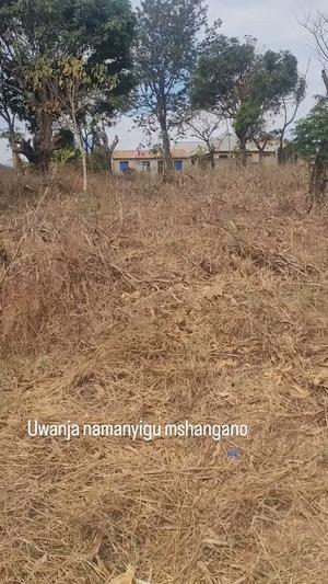 Plot for sale in Namanyigu, Ruvuma sqm 1200 Plot for sale in Namanyigu, Ruvuma sqm 1200
