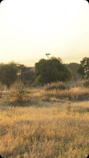 Kiwanja kinauzwa Medeli, Dodoma sqm 2000 Kiwanja kinauzwa Medeli, Dodoma sqm 2000