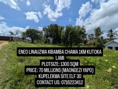 Kiwanja kinauzwa Kibamba Chama, Dar Es Salaam (1300 sqm)