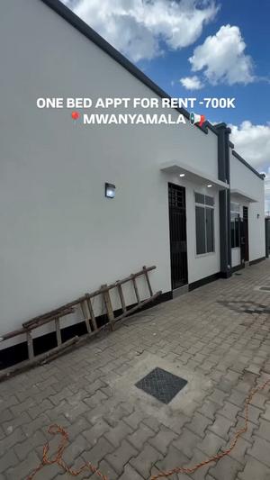 1 Bedroom Apartment for Rent in Mwananyamala Hospital, Dar Es Salaam