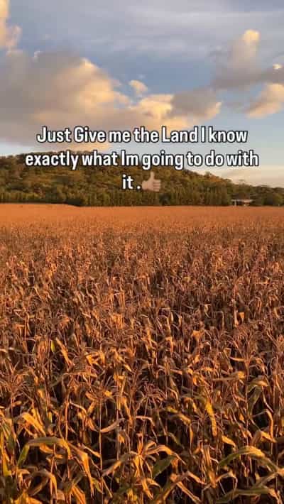 Viwanja vinauzwa Kigamboni Mwembemdog, Dar Es Salaam