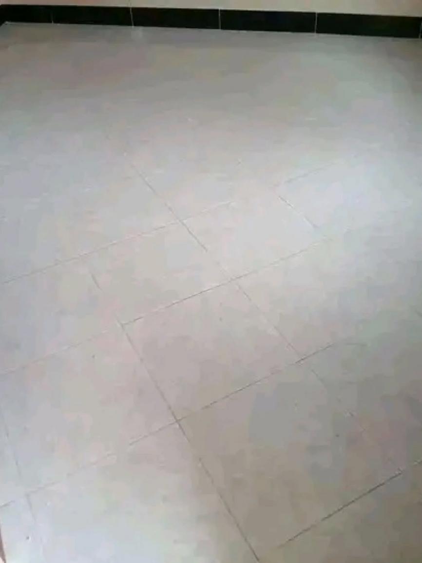 media -5 media -5