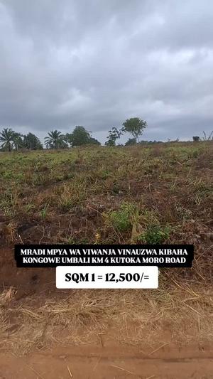 Viwanja vinauzwa Kibaha Kongowe, Pwani (500 sqm) Viwanja vinauzwa Kibaha Kongowe, Pwani (500 sqm)