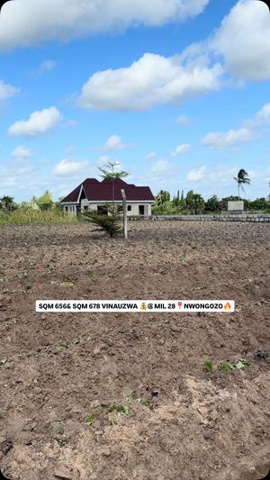 Plots for sale in Kigamboni, Dar Es Salaam sqm 1250 Plots for sale in Kigamboni, Dar Es Salaam sqm 1250