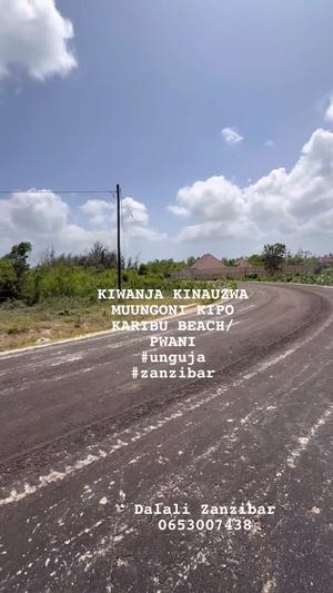 Beach Plot for Sale in Muungoni, Zanzibar - Unguja South (4160 sqm)