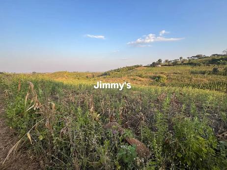Commercial Plot for Sale in Oremiti, Losirwa - Mto wa Mbu, Arusha (6 acre) Commercial Plot for Sale in Oremiti, Losirwa - Mto wa Mbu, Arusha (6 acre)