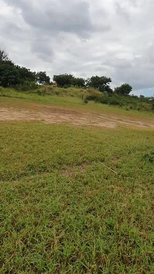 Residential Plots for Sale in Makongo, Dar Es Salaam Residential Plots for Sale in Makongo, Dar Es Salaam