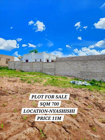 Plot for sale in Nyashishi, Mwanza sqm 700