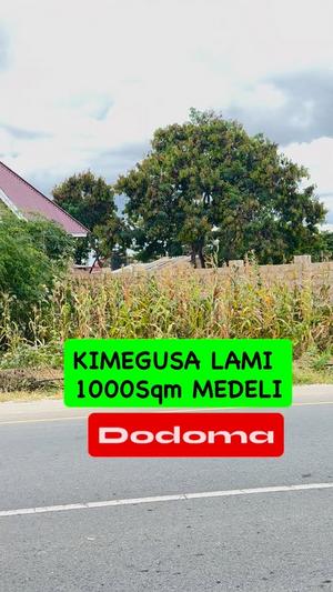 Commercial Plot for Sale in Medeli, Dodoma