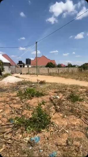 Kiwanja kinauzwa Nzuguni, Dodoma (500 sqm)