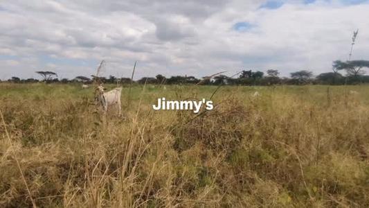 Farm for Sale in Kikwe, Arusha (3 acre)