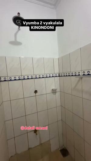 2 Bedrooms Apartment for Rent in Kinondoni, Dar Es Salaam