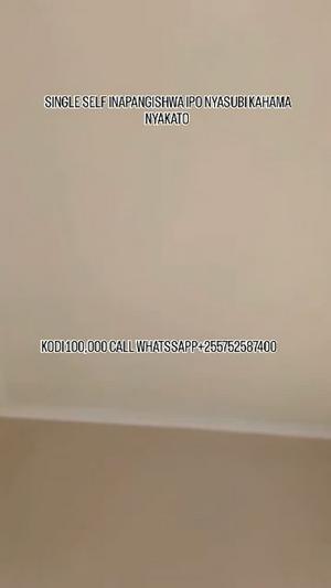 1 Bedroom House for Rent in Nyakato, Mwanza