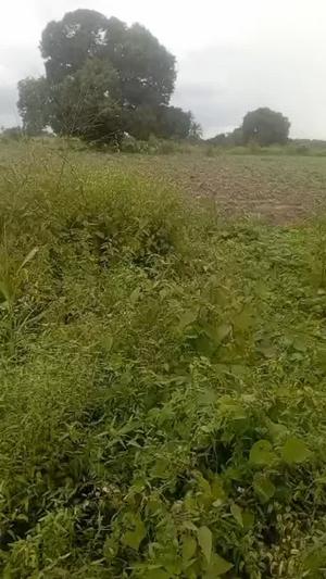 Shamba linauzwa Kibaha Misugu Sugu, Pwani acre 10