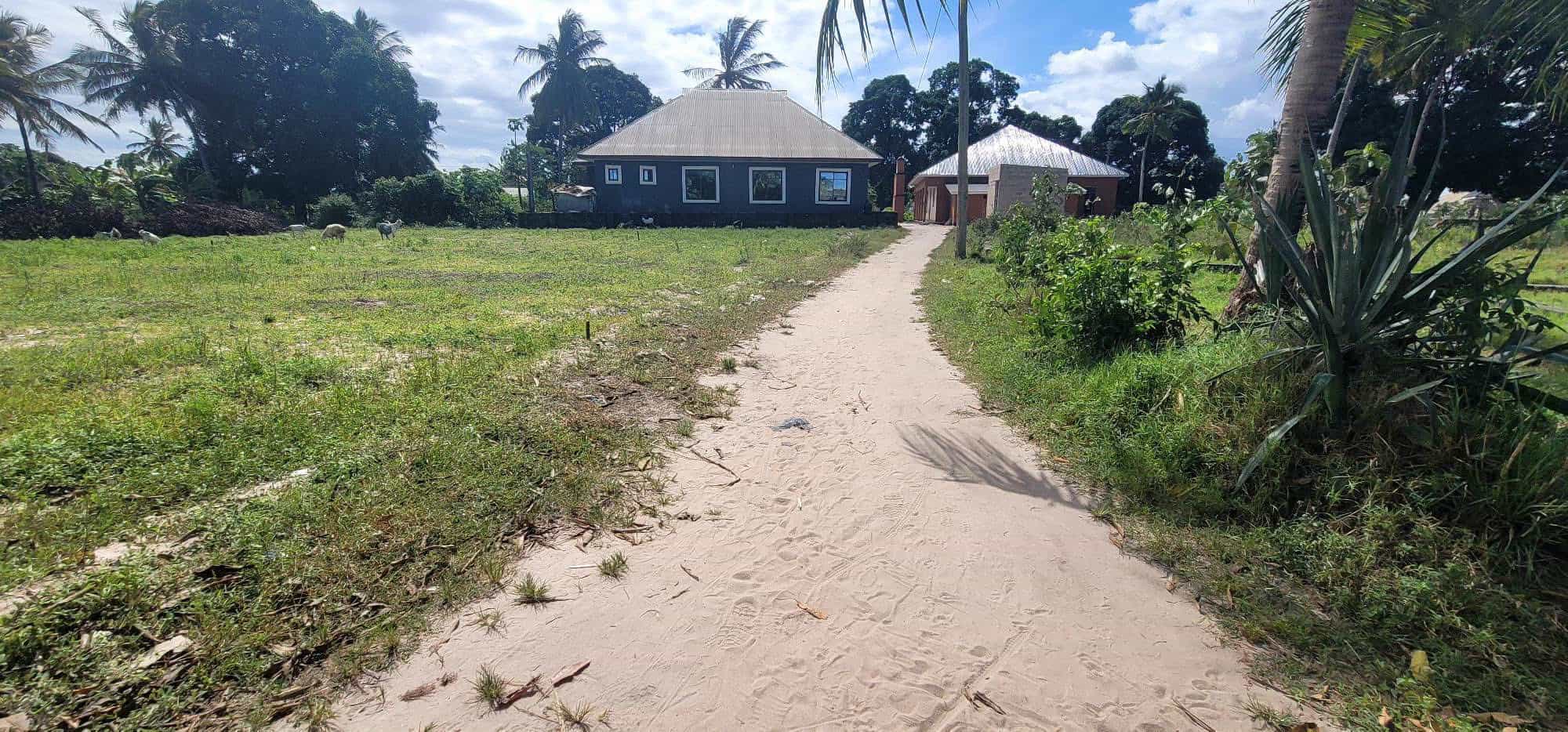 Plot for sale in Chamazi, Dar Es Salaam Plot for sale in Chamazi, Dar Es Salaam