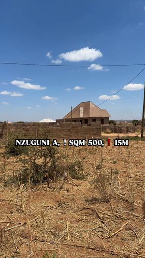 Kiwanja kinauzwa Nzuguni A - Ushuan, Dodoma (500 sqm)