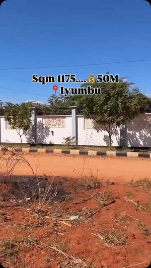 Kiwanja kinauzwa Iyumbu, Dodoma sqm 1179 Kiwanja kinauzwa Iyumbu, Dodoma sqm 1179