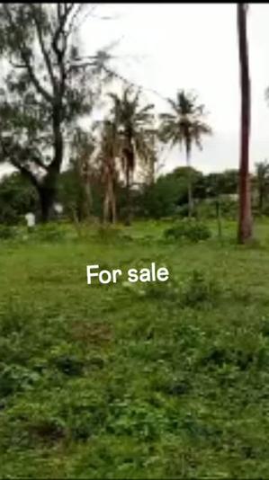 Beach Plot for Sale in Kigamboni Gezaulole, Dar Es Salaam (1875 sqm) Beach Plot for Sale in Kigamboni Gezaulole, Dar Es Salaam (1875 sqm)