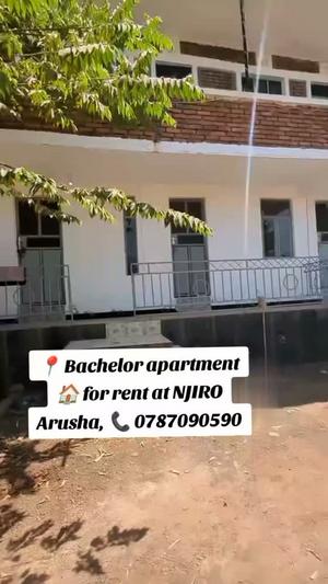1 Bedroom Apartment for Rent in Njiro, Arusha