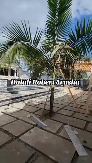 Nyumba ya vyumba vinne inauzwa Sakina, Arusha (1200 sqm) Nyumba ya vyumba vinne inauzwa Sakina, Arusha (1200 sqm)