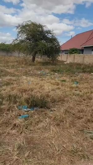 Residential Plot for Sale in Mipango Chuo, Dodoma (583 sqm)