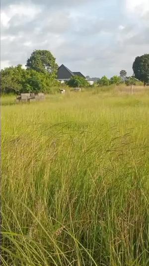 Beach Plot kinauzwa Kimbiji, Dar Es Salaam (742 sqm)