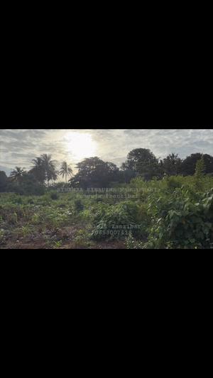 Beach Plot for Sale in Mangapwani, Zanzibar - Unguja North (4500 sqm) Beach Plot for Sale in Mangapwani, Zanzibar - Unguja North (4500 sqm)