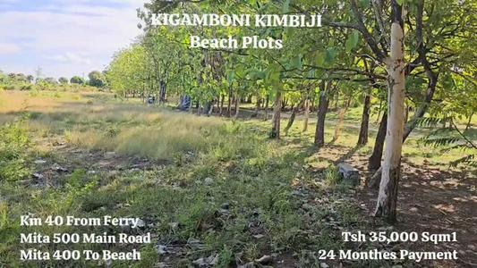 Beach Plots for Sale in Kigamboni Kimbiji, Dar Es Salaam