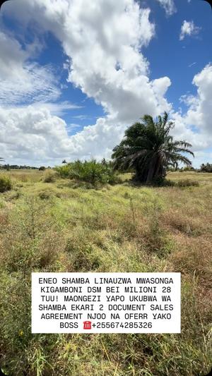 Farm for Sale in Mwasonga Kigamboni, Dar Es Salaam (2 acre) Farm for Sale in Mwasonga Kigamboni, Dar Es Salaam (2 acre)
