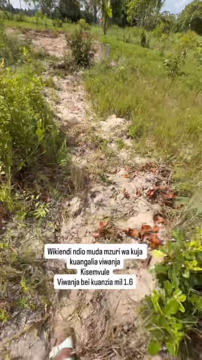 Kiwanja kinauzwa Kibamba, KISemvule, Pwani (224 sqm)