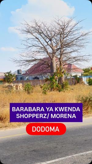 Plot for sale in Kisasa, Dodoma sqm 1100 Plot for sale in Kisasa, Dodoma sqm 1100