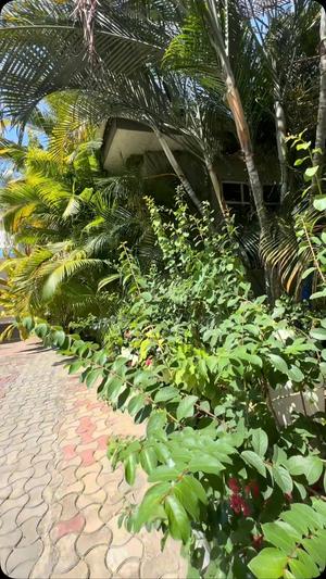 Apartment ya chumba kimoja inapangishwa Kibugumo, Dar Es Salaam