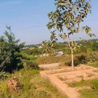 Kiwanja (Industrial Plot) inauzwa Kazegunga, Kigoma (900 sqm)