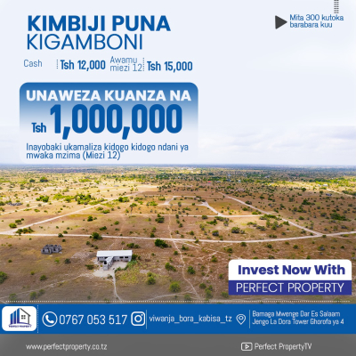 Viwanja vinauzwa Kigamboni, Dar Es Salaam