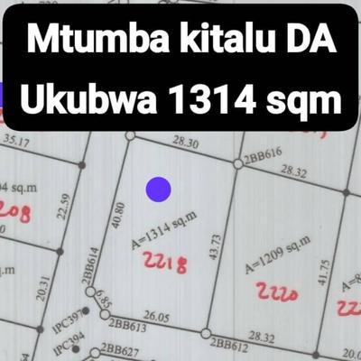 Kiwanja (Residential/Commercial) kinauzwa Mtumba Mji Wa Serikali, Dodoma (1314 sqm) Kiwanja (Residential/Commercial) kinauzwa Mtumba Mji Wa Serikali, Dodoma (1314 sqm)