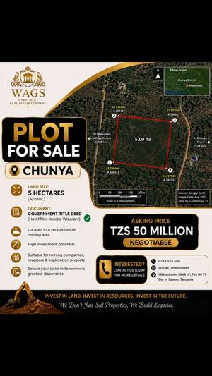 Kiwanja (Commercial Plot) kinauzwa Chunya, Mbeya (5 acre) Kiwanja (Commercial Plot) kinauzwa Chunya, Mbeya (5 acre)
