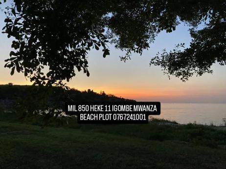 Beach Plot kinauzwa Igombe, Mwanza (11 acre) Beach Plot kinauzwa Igombe, Mwanza (11 acre)