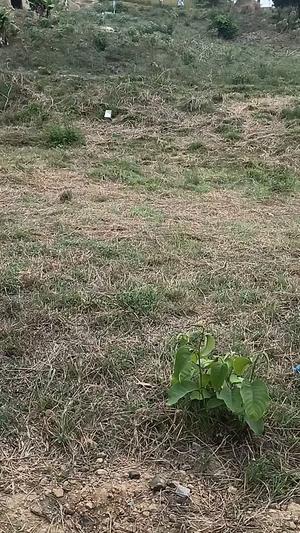 Residential Plot for Sale in Tabata Kinyerezi Balakuda, Dar Es Salaam (500 sqm) Residential Plot for Sale in Tabata Kinyerezi Balakuda, Dar Es Salaam (500 sqm)
