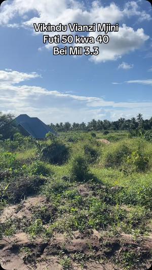 Plots for sale in Vikindu Vianzi, Pwani sqm 2000 Plots for sale in Vikindu Vianzi, Pwani sqm 2000