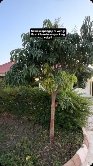 2 Bedrooms House for Rent in Kisasa, Dodoma 2 Bedrooms House for Rent in Kisasa, Dodoma