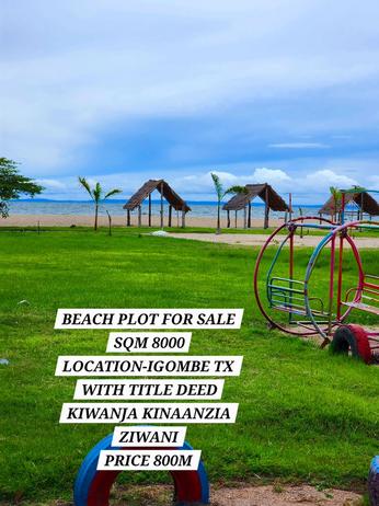 Beach Plot for Sale in Igombe, Mwanza (8000 sqm) Beach Plot for Sale in Igombe, Mwanza (8000 sqm)