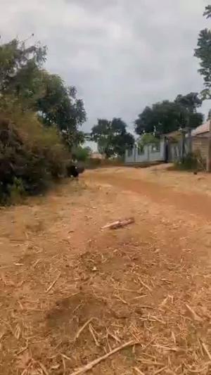 Residential Plot for Sale in Babati, Manyara (400 sqm) Residential Plot for Sale in Babati, Manyara (400 sqm)