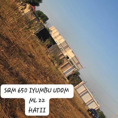 Kiwanja kinauzwa Iyumbu Udom, Dodoma sqm 650 Kiwanja kinauzwa Iyumbu Udom, Dodoma sqm 650