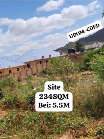 Kiwanja kinauzwa Udom Ngo'ng'ona, Dodoma (234 sqm)