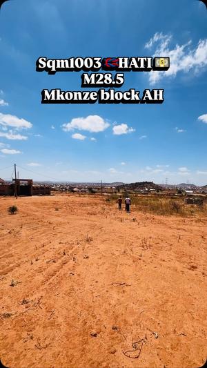 Kiwanja kinauzwa Mkonze, Dodoma (1003 sqm)